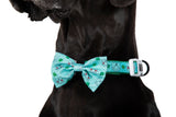 DOG COLLAR (+ BOW TIE option): Pokémon Collection - Bulbasaur