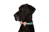 DOG COLLAR (+ BOW TIE option): Candy Lane Plaid