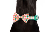 DOG COLLAR (+ BOW TIE option): Candy Lane Plaid