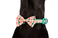 DOG COLLAR (+ BOW TIE option): Candy Lane Plaid