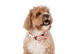 DOG COLLAR & BOW TIE: Christmas Gingerbread {FINAL SALE}