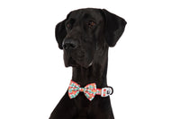 DOG COLLAR & BOW TIE: Christmas Gingerbread {FINAL SALE}