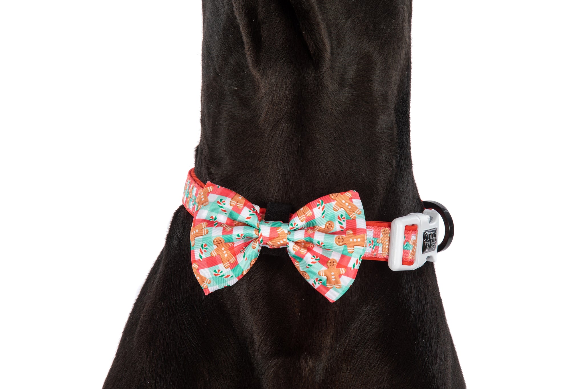 DOG COLLAR & BOW TIE: Christmas Gingerbread {FINAL SALE}