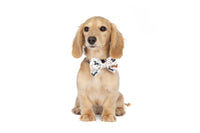 DOG COLLAR (+ BOW TIE option): Dashie Lovers