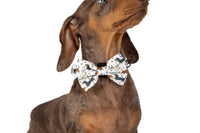 DOG COLLAR (+ BOW TIE option): Dashie Lovers