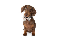 DOG COLLAR (+ BOW TIE option): Dashie Lovers