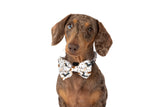 DOG COLLAR (+ BOW TIE option): Dashie Lovers