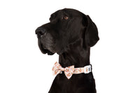 DOG COLLAR (+ BOW TIE option): Dashing Through The Stars