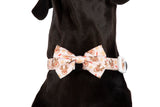DOG COLLAR (+ BOW TIE option): Dashing Through The Stars