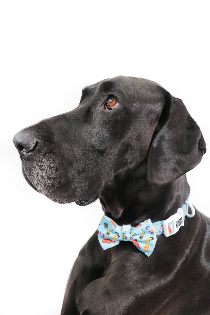 DOG COLLAR (+ BOW TIE option): Drinking Buddy (NEW!)