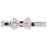 DOG COLLAR (+ BOW TIE option): Gelato