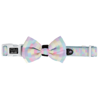 DOG COLLAR (+ BOW TIE option): Gelato