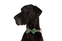 DOG COLLAR (+ BOW TIE option): Gingerbread Cutie