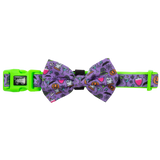 DOG COLLAR & BOW TIE: Haunted Hound {FINAL SALE}