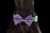 DOG COLLAR & BOW TIE: Haunted Hound {FINAL SALE}