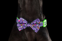 DOG COLLAR & BOW TIE: Haunted Hound {FINAL SALE}