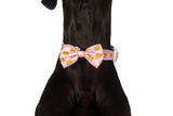 DOG COLLAR & BOW TIE: I Flippin' Love You {FINAL SALE}