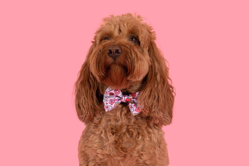 DOG COLLAR & BOW TIE: I Woof You {FINAL SALE}