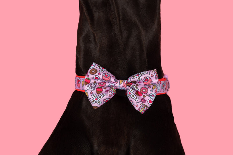 DOG COLLAR & BOW TIE: I Woof You {FINAL SALE}