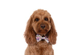 DOG COLLAR (+ BOW TIE option): It's My Bark Day