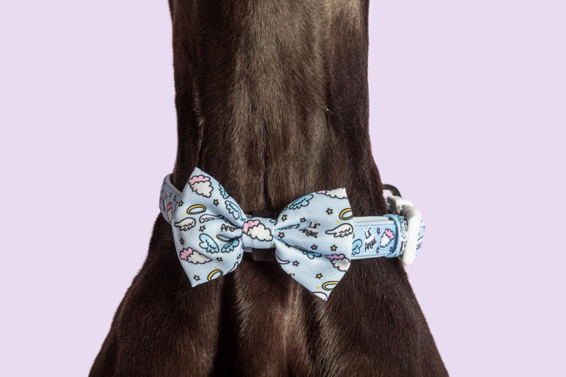 Dog Collar and Bow Tie Lil Angel Blue Stars Clouds