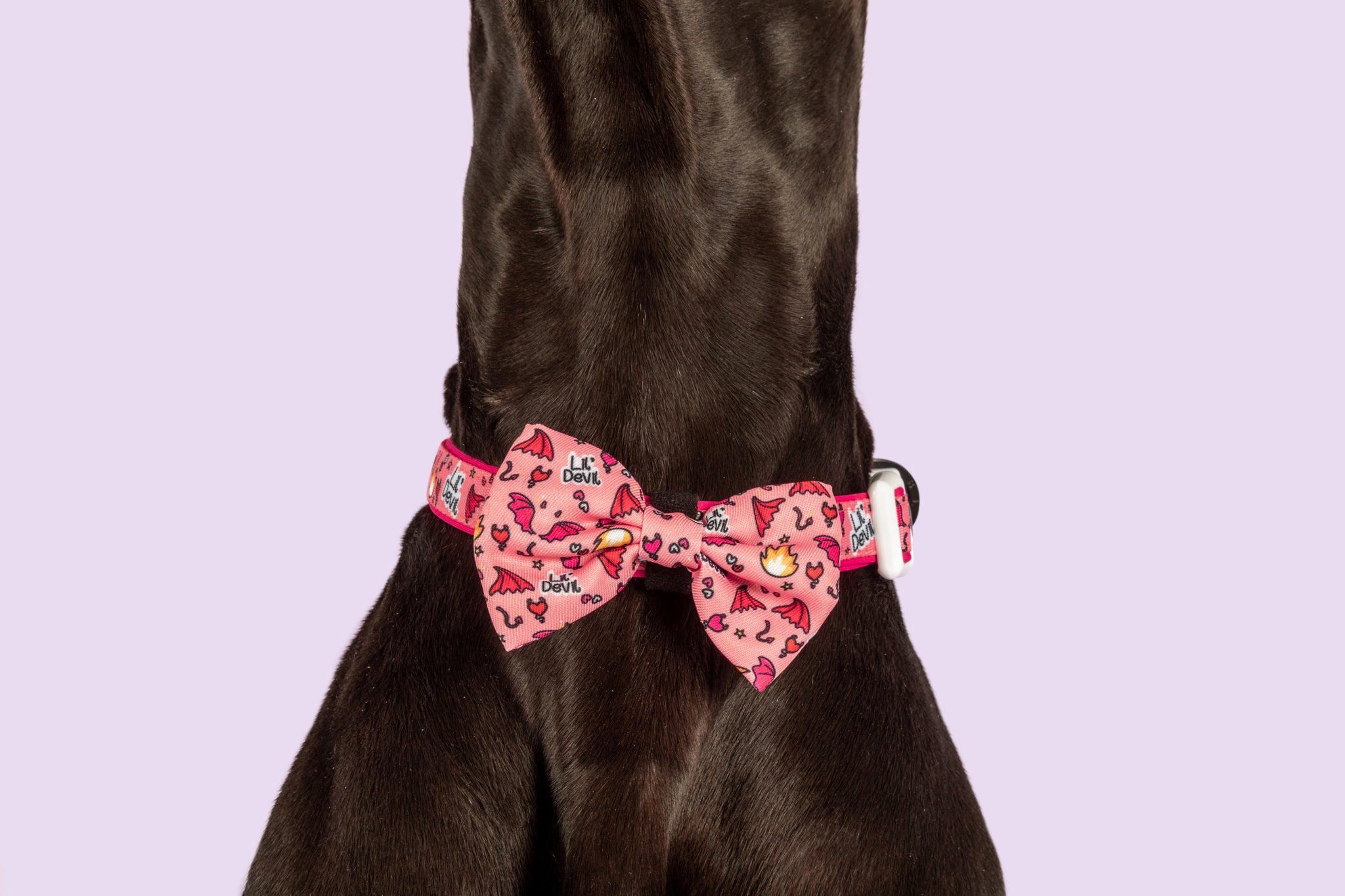 Dog Collar and Bow Tie Lil Devil Red Stars Flames Hearts