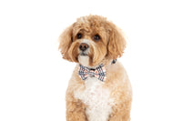 DOG COLLAR (+ BOW TIE option): Nova Plaid