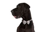 DOG COLLAR (+ BOW TIE option): Nova Plaid