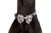 DOG COLLAR (+ BOW TIE option): Nova Plaid