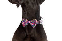 DOG COLLAR (+ BOW TIE option): Petal Paradise