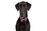 DOG COLLAR (+ BOW TIE option): Petal Paradise