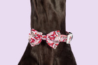 Dog Collar and Bow Tie Pretty Lil Butterfly Wings Pink Red White