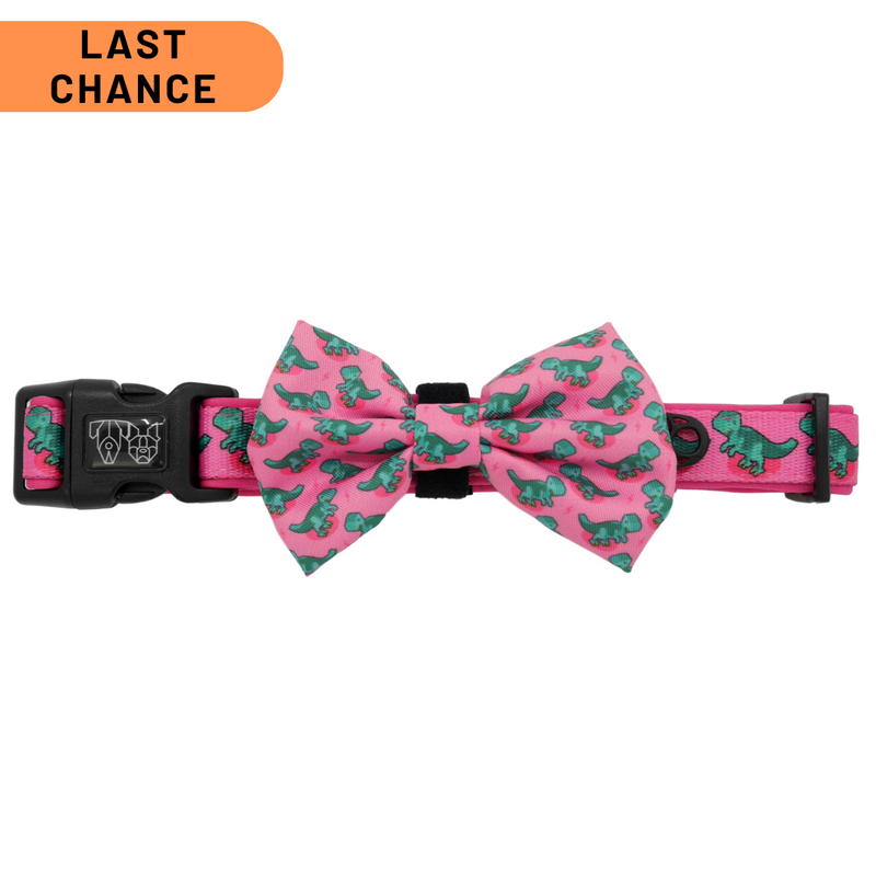 DOG COLLAR (+ BOW TIE option): Princess-asaurus {FINAL SALE}