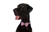 DOG COLLAR (+ BOW TIE option): Purple Fairy Bread