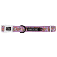 DOG COLLAR (+ BOW TIE option): Purple Fairy Bread