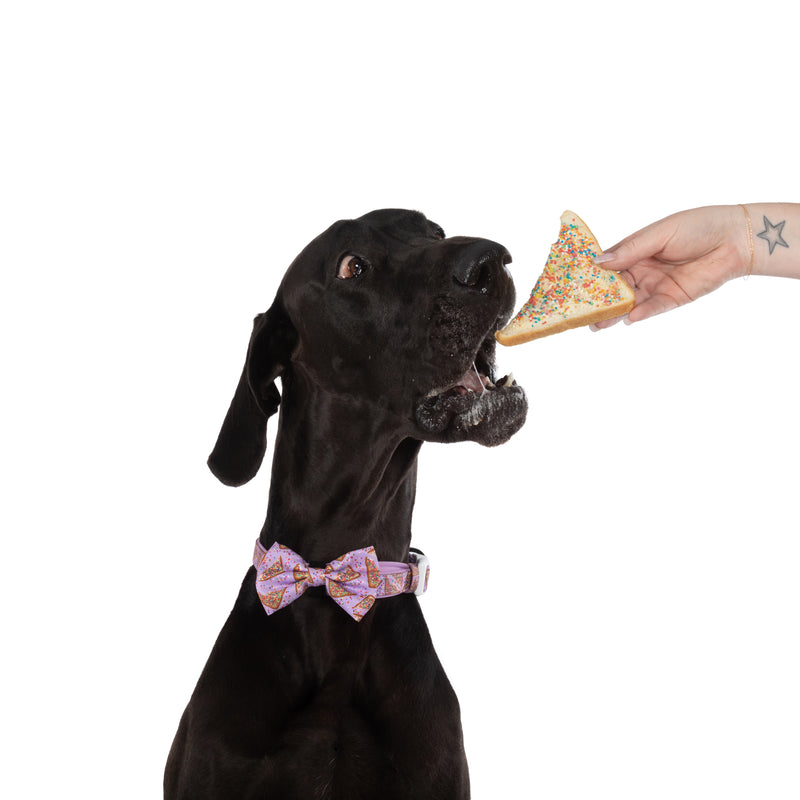 DOG COLLAR & BOW TIE: Purple Fairy Bread