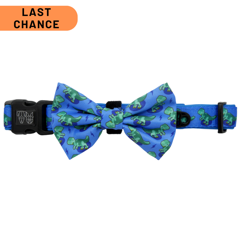 DOG COLLAR (+ BOW TIE option): Rawr {FINAL SALE}