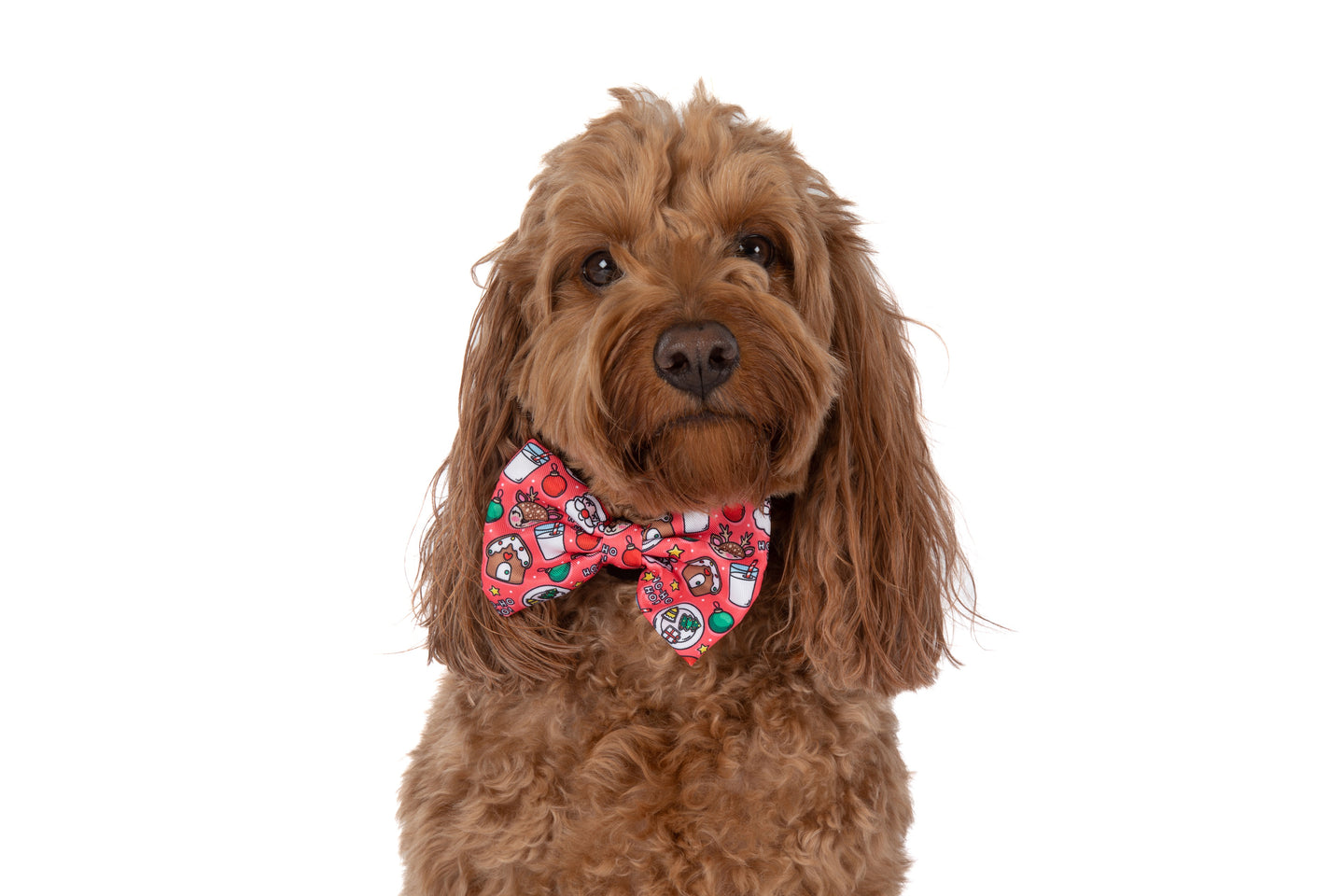 DOG COLLAR & BOW TIE: Santa's Cookies {FINAL SALE}