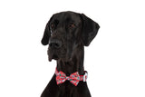 DOG COLLAR & BOW TIE: Santa's Cookies {FINAL SALE}