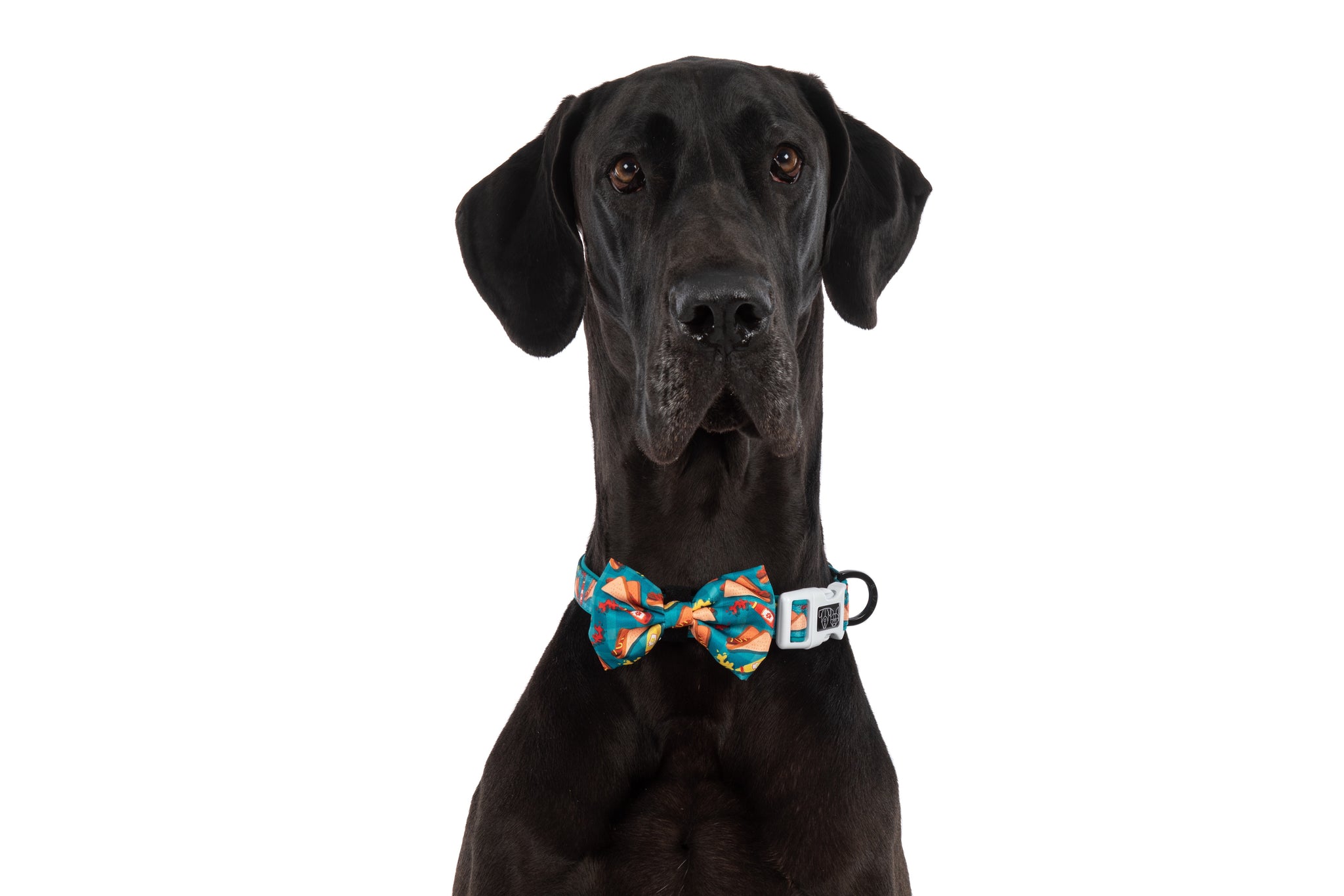 DOG COLLAR (+ BOW TIE option): Sausage Sizzle