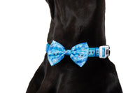 DOG COLLAR (+ BOW TIE option): Pokémon Collection - Squirtle
