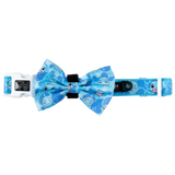 DOG COLLAR (+ BOW TIE option): Pokémon Collection - Squirtle