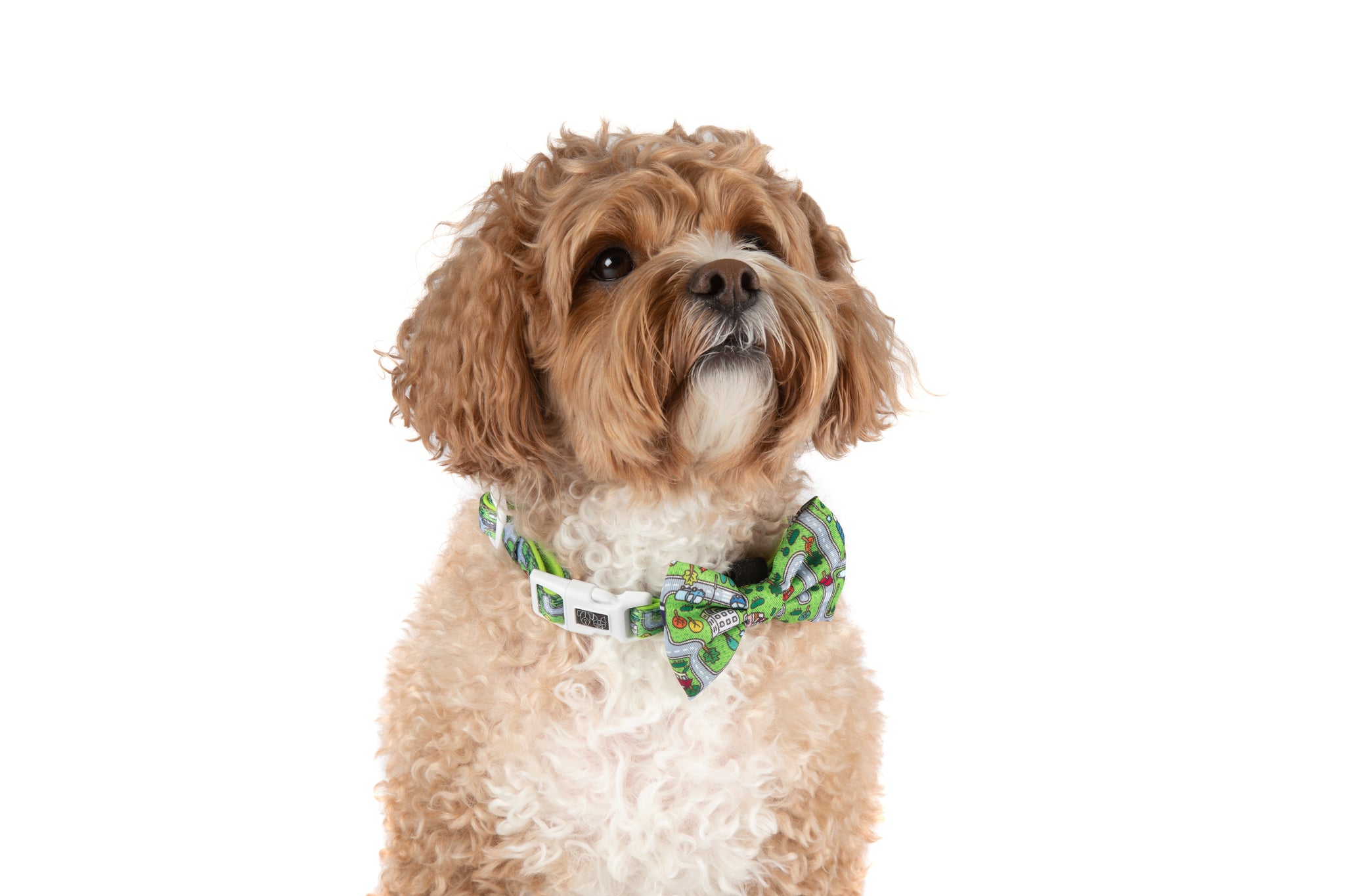 DOG COLLAR (+ BOW TIE option): Traffic Town