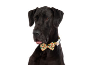 DOG COLLAR (+ BOW TIE option): Winter Blooms