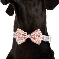 DOG COLLAR (+ BOW TIE option): Rodeo King