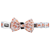 DOG COLLAR (+ BOW TIE option): Rodeo King