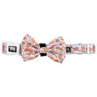 DOG COLLAR (+ BOW TIE option): Rodeo King