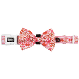 DOG COLLAR (+ BOW TIE option): Rodeo Queen