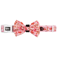 DOG COLLAR (+ BOW TIE option): Rodeo Queen
