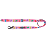 DOG LEASH: Beary Sweet